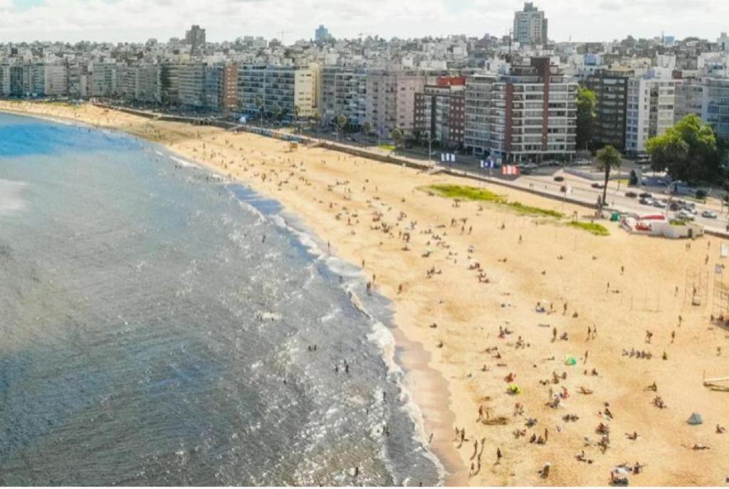 Artistes Du Monde * Montevideo